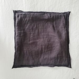 Potterbarn Linen Throw Shams